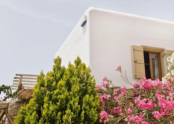 Mr & Mrs White Mykonos Ξενοδοχείο 4*